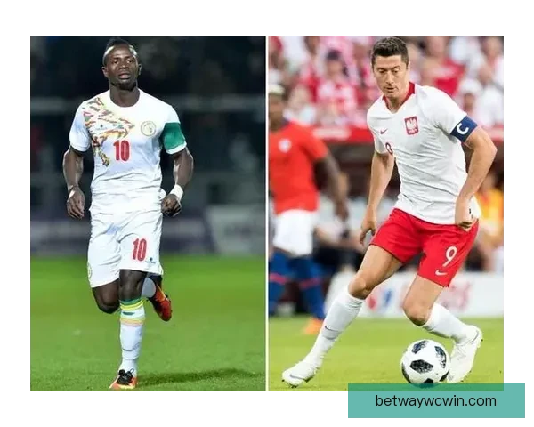 世界杯精彩对决预测攻略助你精准投注赢取丰厚奖池 世界杯精彩对决预测攻略助你精准投注赢取丰厚奖池